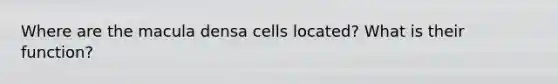 Where are the macula densa cells located? What is their function?