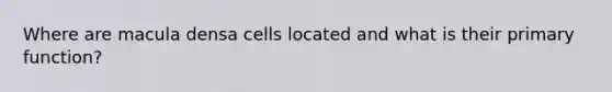 Where are macula densa cells located and what is their primary function?