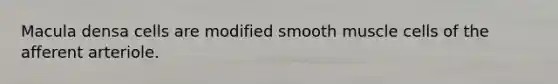 Macula densa cells are modified smooth muscle cells of the afferent arteriole.