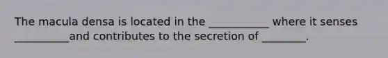The macula densa is located in the ___________ where it senses __________and contributes to the secretion of ________.
