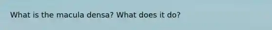 What is the macula densa? What does it do?