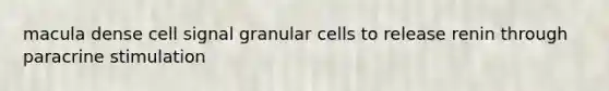 macula dense cell signal granular cells to release renin through paracrine stimulation