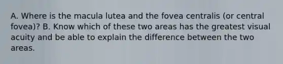 A. Where is the macula lutea and the fovea centralis (or central fovea)? B. Know which of these two areas has the greatest visual acuity and be able to explain the difference between the two areas.