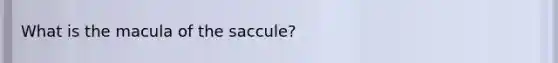 What is the macula of the saccule?