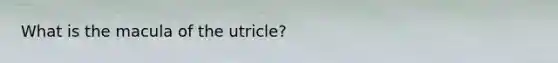 What is the macula of the utricle?