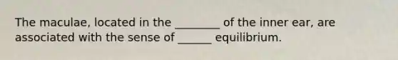 The maculae, located in the ________ of the inner ear, are associated with the sense of ______ equilibrium.