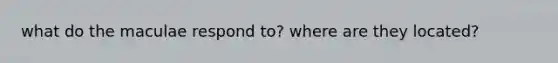 what do the maculae respond to? where are they located?