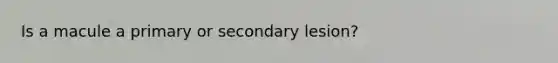 Is a macule a primary or secondary lesion?