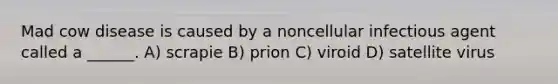 Mad cow disease is caused by a noncellular infectious agent called a ______. A) scrapie B) prion C) viroid D) satellite virus