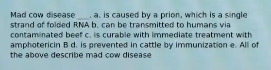 Mad cow disease ___. a. is caused by a prion, which is a single strand of folded RNA b. can be transmitted to humans via contaminated beef c. is curable with immediate treatment with amphotericin B d. is prevented in cattle by immunization e. All of the above describe mad cow disease