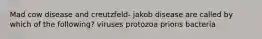 Mad cow disease and creutzfeld- jakob disease are called by which of the following? viruses protozoa prions bacteria