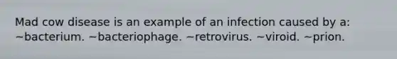 Mad cow disease is an example of an infection caused by a: ~bacterium. ~bacteriophage. ~retrovirus. ~viroid. ~prion.