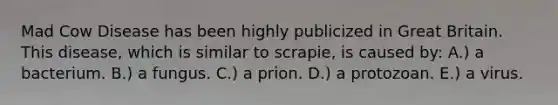 Mad Cow Disease has been highly publicized in Great Britain. This disease, which is similar to scrapie, is caused by: A.) a bacterium. B.) a fungus. C.) a prion. D.) a protozoan. E.) a virus.