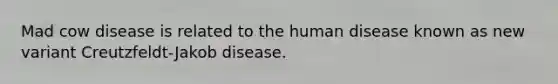 Mad cow disease is related to the human disease known as new variant Creutzfeldt-Jakob disease.