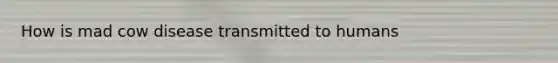 How is mad cow disease transmitted to humans