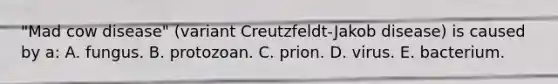 "Mad cow disease" (variant Creutzfeldt-Jakob disease) is caused by a: A. fungus. B. protozoan. C. prion. D. virus. E. bacterium.