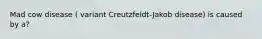 Mad cow disease ( variant Creutzfeldt-Jakob disease) is caused by a?