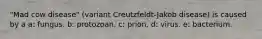 "Mad cow disease" (variant Creutzfeldt-Jakob disease) is caused by a a: fungus. b: protozoan. c: prion. d: virus. e: bacterium.