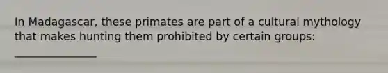 In Madagascar, these primates are part of a cultural mythology that makes hunting them prohibited by certain groups: _______________