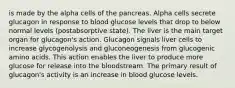 is made by the alpha cells of the pancreas. Alpha cells secrete glucagon in response to blood glucose levels that drop to below normal levels (postabsorptive state). The liver is the main target organ for glucagon's action. Glucagon signals liver cells to increase glycogenolysis and gluconeogenesis from glucogenic amino acids. This action enables the liver to produce more glucose for release into the bloodstream. The primary result of glucagon's activity is an increase in blood glucose levels.