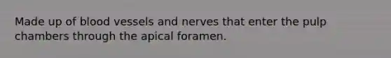 Made up of blood vessels and nerves that enter the pulp chambers through the apical foramen.