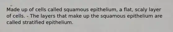 Made up of cells called squamous epithelium, a flat, scaly layer of cells. - The layers that make up the squamous epithelium are called stratified epithelium.