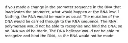 If you made a change in the promoter sequence in the DNA that inactivates the promoter, what would happen at the RNA level? Nothing, the RNA would be made as usual. The mutation of the DNA would be carried through to the RNA sequence. The RNA polymerase would not be able to recognize and bind the DNA, so no RNA would be made. The DNA helicase would not be able to recognize and bind the DNA, so the RNA would not be made.