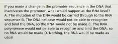 If you made a change in the promoter sequence in the DNA that inactivates the promoter, what would happen at the RNA level? A. The mutation of the DNA would be carried through to the RNA sequence B. The DNA helicase would not be able to recognize and bind the DNA, so the RNA would not be made C. The RNA polymerase would not be able to recognize and bind the DNA, so no RNA would be made D. Nothing, the RNA would be made as usual