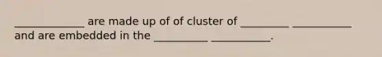 _____________ are made up of of cluster of _________ ___________ and are embedded in the __________ ___________.