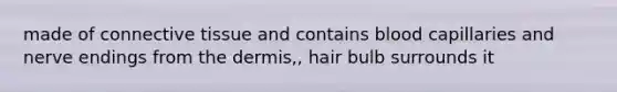 made of connective tissue and contains blood capillaries and nerve endings from the dermis,, hair bulb surrounds it