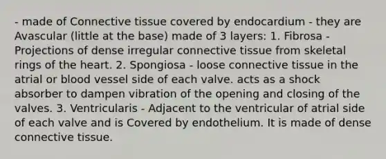 - made of Connective tissue covered by endocardium - they are Avascular (little at the base) made of 3 layers: 1. Fibrosa - Projections of dense irregular connective tissue from skeletal rings of the heart. 2. Spongiosa - loose connective tissue in the atrial or blood vessel side of each valve. acts as a shock absorber to dampen vibration of the opening and closing of the valves. 3. Ventricularis - Adjacent to the ventricular of atrial side of each valve and is Covered by endothelium. It is made of dense connective tissue.