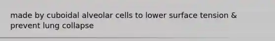 made by cuboidal alveolar cells to lower surface tension & prevent lung collapse