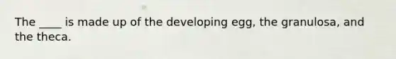 The ____ is made up of the developing egg, the granulosa, and the theca.