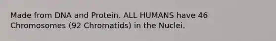 Made from DNA and Protein. ALL HUMANS have 46 Chromosomes (92 Chromatids) in the Nuclei.