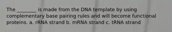 The ________ is made from the DNA template by using complementary base pairing rules and will become functional proteins. a. rRNA strand b. mRNA strand c. tRNA strand