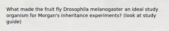 What made the fruit fly Drosophila melanogaster an ideal study organism for Morgan's inheritance experiments? (look at study guide)