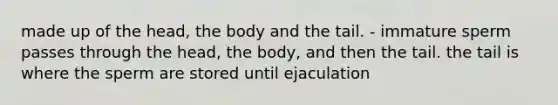 made up of the head, the body and the tail. - immature sperm passes through the head, the body, and then the tail. the tail is where the sperm are stored until ejaculation