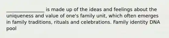 ________________ is made up of the ideas and feelings about the uniqueness and value of one's family unit, which often emerges in family traditions, rituals and celebrations. Family identity DNA pool