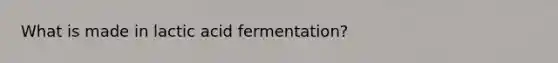 What is made in lactic acid fermentation?