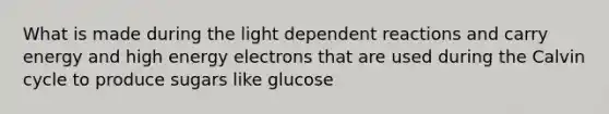 What is made during the light dependent reactions and carry energy and high energy electrons that are used during the Calvin cycle to produce sugars like glucose