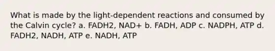 What is made by the light-dependent reactions and consumed by the Calvin cycle? a. FADH2, NAD+ b. FADH, ADP c. NADPH, ATP d. FADH2, NADH, ATP e. NADH, ATP