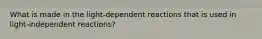 What is made in the light-dependent reactions that is used in light-independent reactions?