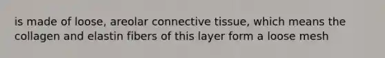 is made of loose, areolar connective tissue, which means the collagen and elastin fibers of this layer form a loose mesh