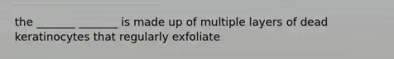 the _______ _______ is made up of multiple layers of dead keratinocytes that regularly exfoliate