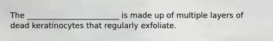 The ________________________ is made up of multiple layers of dead keratinocytes that regularly exfoliate.