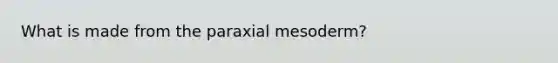 What is made from the paraxial mesoderm?