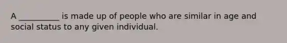 A __________ is made up of people who are similar in age and social status to any given individual.