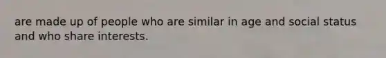 are made up of people who are similar in age and social status and who share interests.