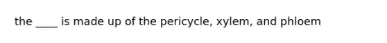 the ____ is made up of the pericycle, xylem, and phloem