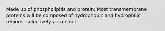 Made up of phospholipids and protein; Most transmembrane proteins will be composed of hydrophobic and hydrophilic regions; selectively permeable